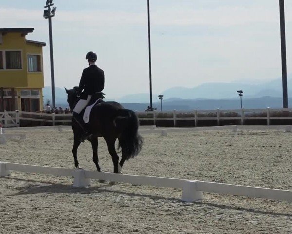 Reitturnier St. Margarethen 2024
