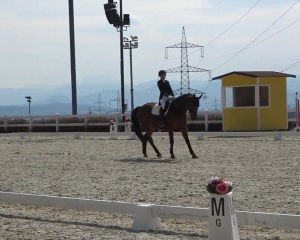 Reitturnier St. Margarethen 2024