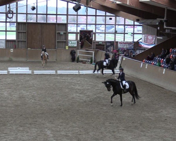 Reitturnier Krumke 2024