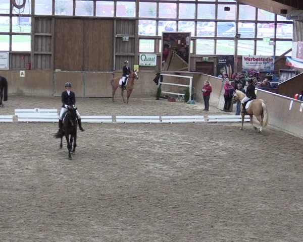 Reitturnier Krumke 2024