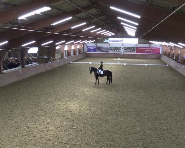 Reitturnier Bad Salzuflen 2024