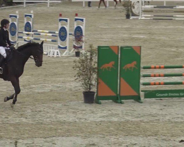 Reitturnier St. Margarethen 2024