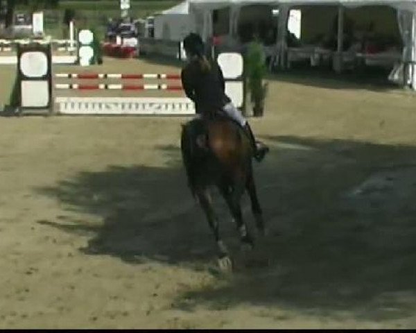 Waltrop 2011