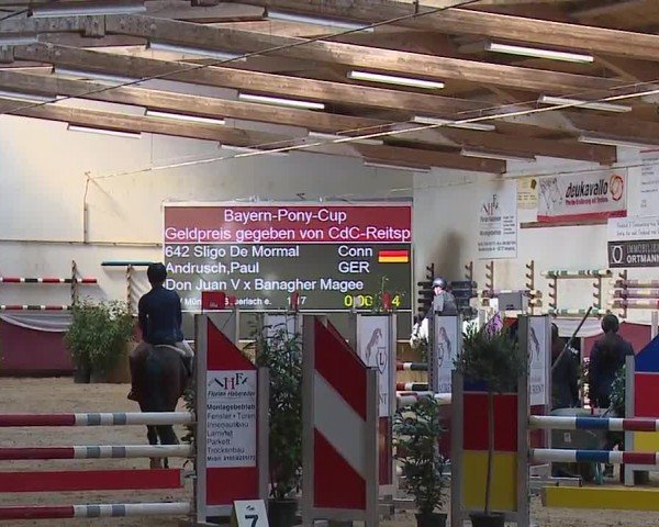 Reitturnier Eicherloh RH Laurent/Obb. 2024