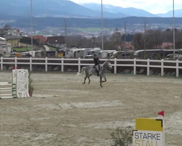 Reitturnier St. Margarethen 2024
