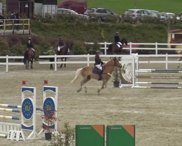 Reitturnier St. Margarethen 2024