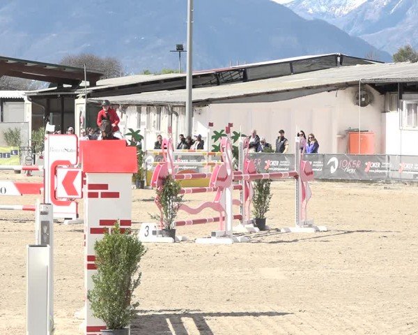 Reitturnier Giubiasco 2024