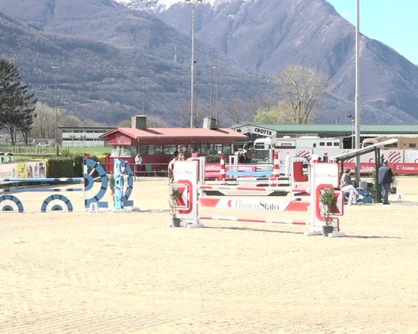 Reitturnier Giubiasco 2024