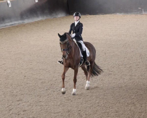 Reitturnier Weil der Stadt 2024