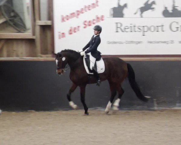 Reitturnier Weil der Stadt 2024