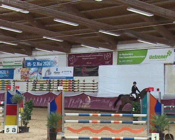 Reitturnier Eicherloh RH Laurent/Obb. 2024