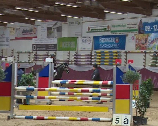 Reitturnier Eicherloh RH Laurent/Obb. 2024