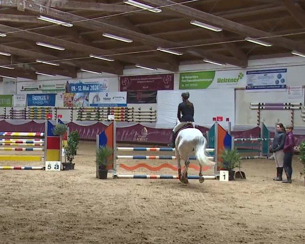 Reitturnier Eicherloh RH Laurent/Obb. 2024