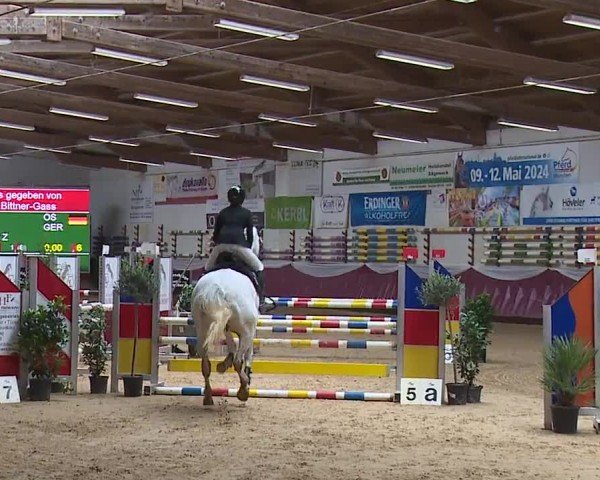 Reitturnier Eicherloh RH Laurent/Obb. 2024