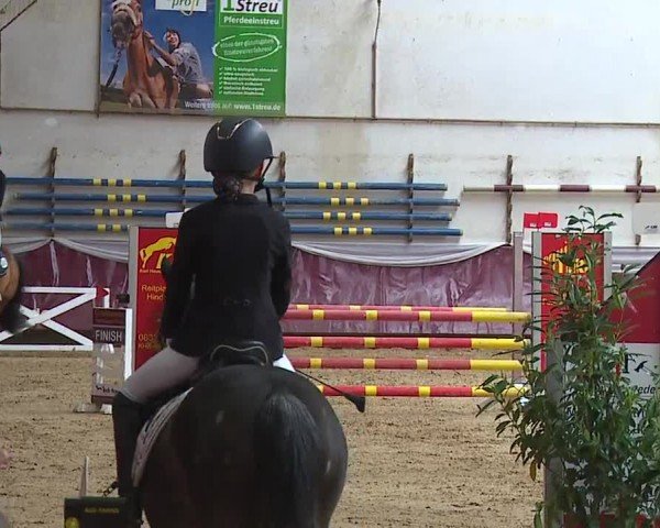 Reitturnier Eicherloh RH Laurent/Obb. 2024