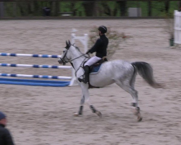 Reitturnier Erkrath - Uhlenhof 2024
