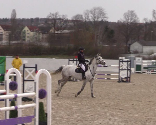 Reitturnier Zwickau 2024