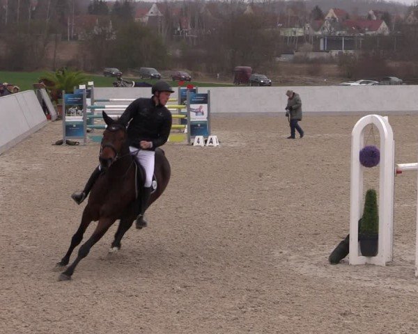 Reitturnier Zwickau 2024