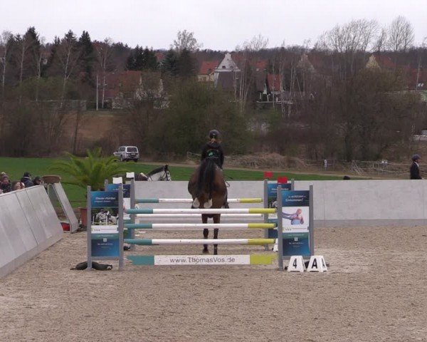 Reitturnier Zwickau 2024