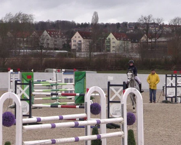 Reitturnier Zwickau 2024