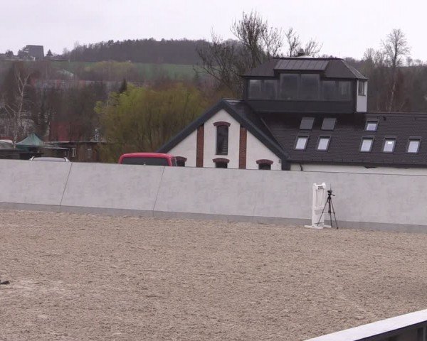 Reitturnier Zwickau 2024