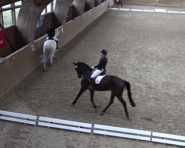 Reitturnier Krumke 2024