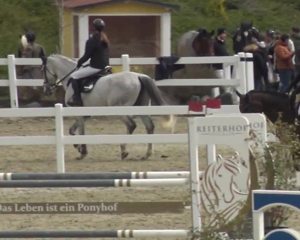 Reitturnier St. Margarethen 2024