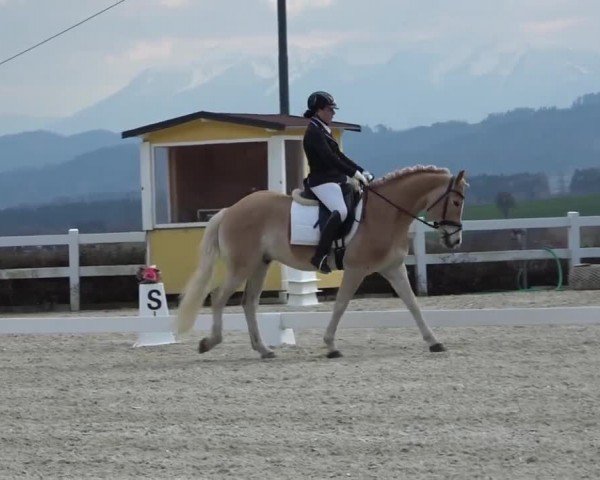 Reitturnier St. Margarethen 2024