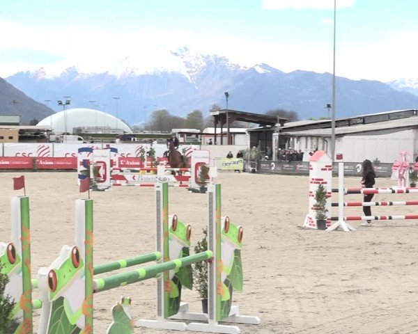 Reitturnier Giubiasco 2024