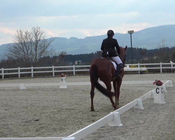 Reitturnier St. Margarethen 2024