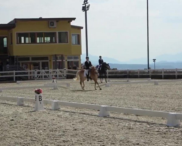 Reitturnier St. Margarethen 2024