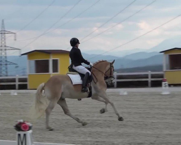 Reitturnier St. Margarethen 2024