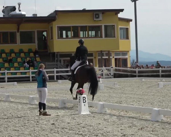 Reitturnier St. Margarethen 2024