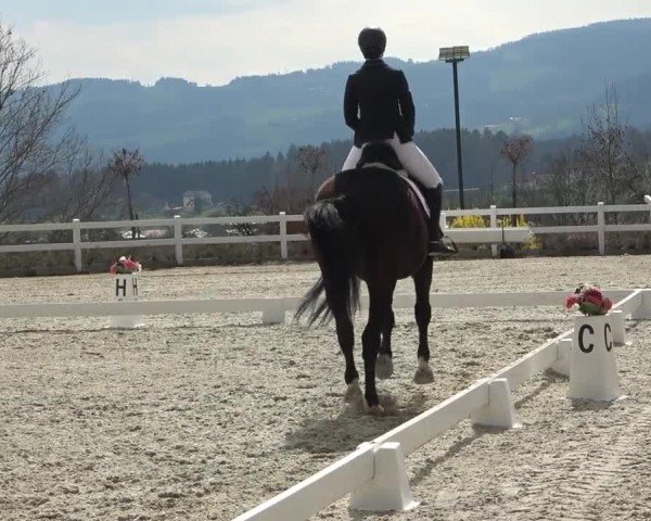Reitturnier St. Margarethen 2024