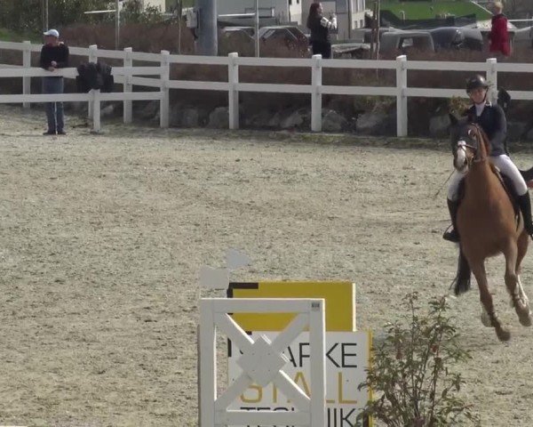Reitturnier St. Margarethen 2024
