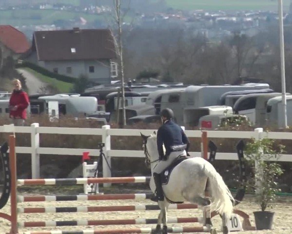 Reitturnier St. Margarethen 2024