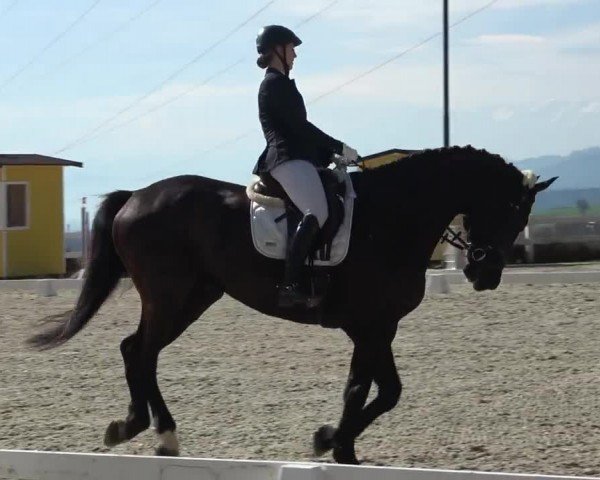 Reitturnier St. Margarethen 2024