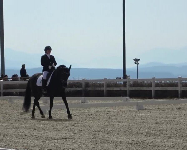 Reitturnier St. Margarethen 2024