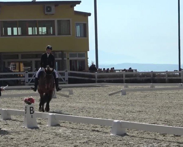 Reitturnier St. Margarethen 2024