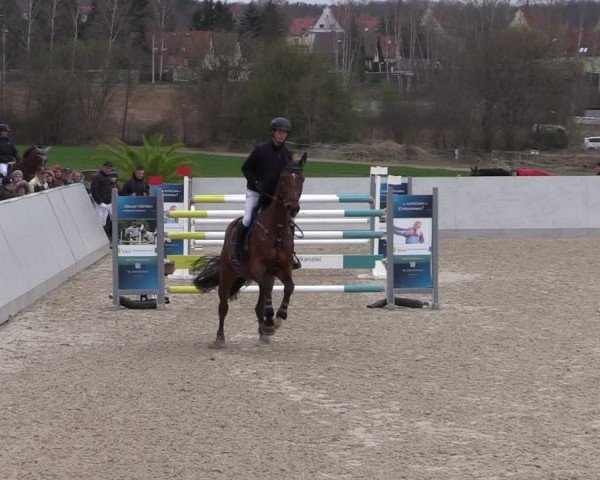 Reitturnier Zwickau 2024