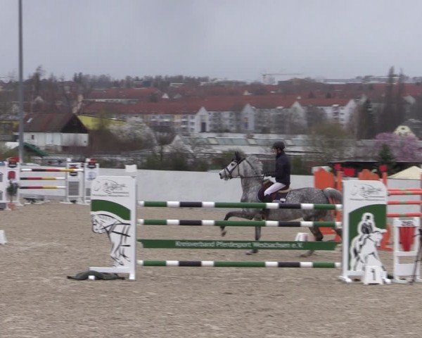 Reitturnier Zwickau 2024