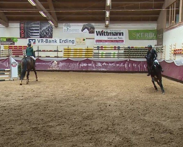Reitturnier Eicherloh RH Laurent/Obb. 2024