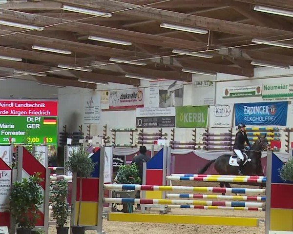 Reitturnier Eicherloh RH Laurent/Obb. 2024