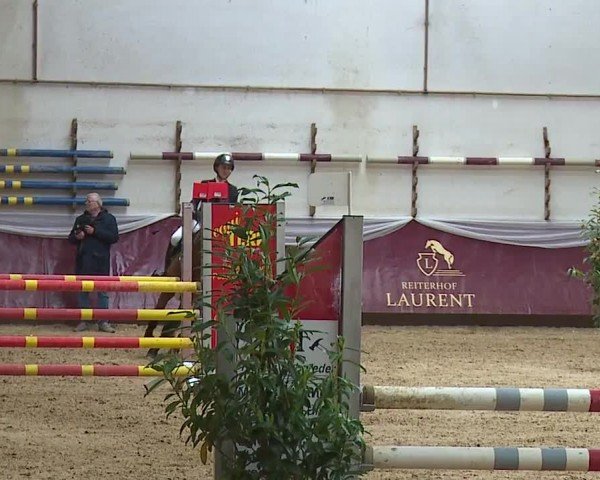 Reitturnier Eicherloh RH Laurent/Obb. 2024