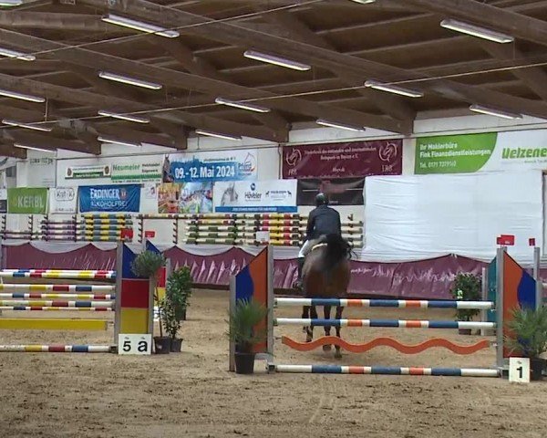 Reitturnier Eicherloh RH Laurent/Obb. 2024