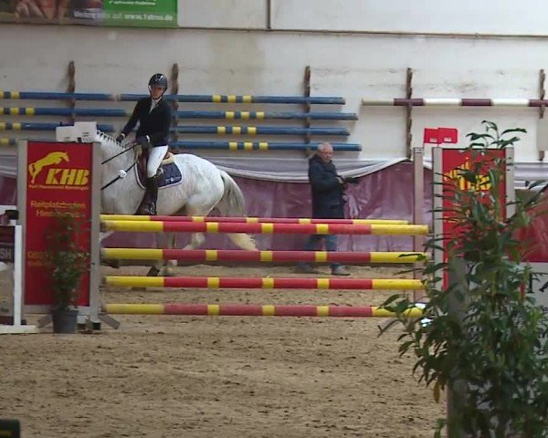 Reitturnier Eicherloh RH Laurent/Obb. 2024