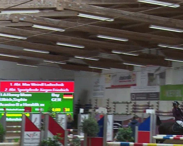 Reitturnier Eicherloh RH Laurent/Obb. 2024
