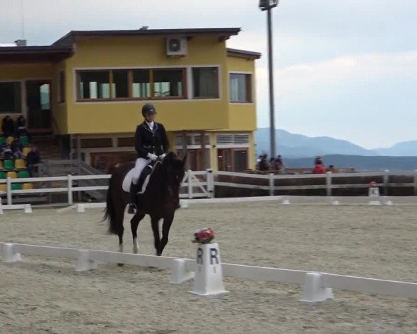 Reitturnier St. Margarethen 2024