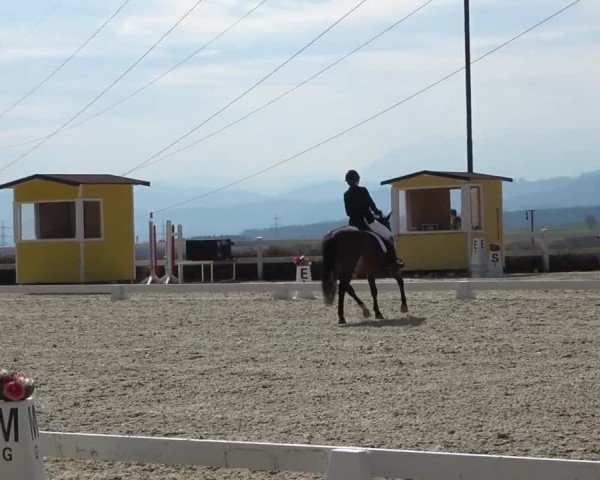 Reitturnier St. Margarethen 2024