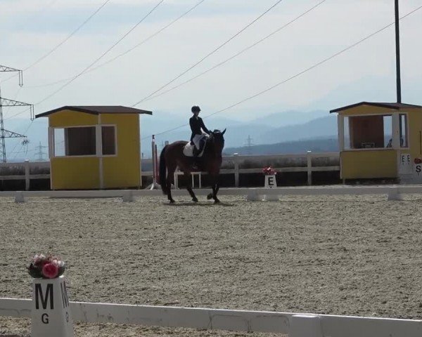 Reitturnier St. Margarethen 2024